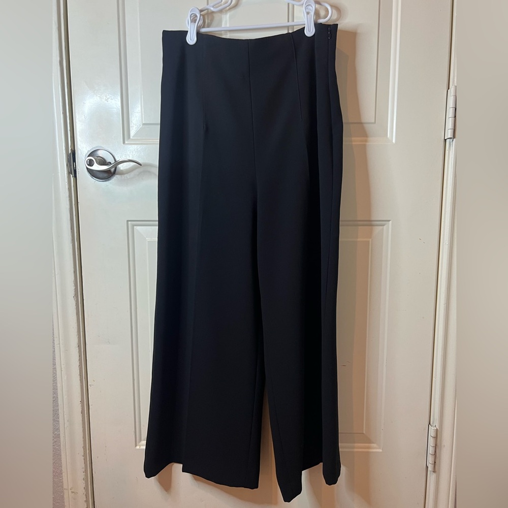 Zara High Waisted Culottes WPronounced Seams. Wide Leg. Side Hidden Zip Closure